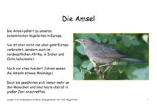 Bilderbuch-Amsel-3-4-Seite-1-18.pdf
